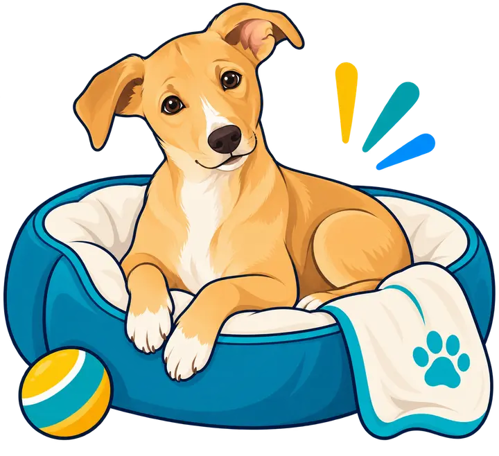 Baia, la mascotte du cabinet Physio Ourcq